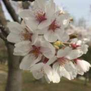 ヒメ日記 2026/04/03 18:25 投稿 みずいろ 姫マーケット