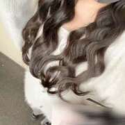 ヒメ日記 2026/04/13 11:38 投稿 アスター 飾窓