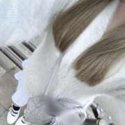 ヒメ日記 2026/04/14 14:03 投稿 アスター 飾窓