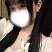 ひな【超カワ美脚美女は未経験】 オペラ702💌 STELLA NEXT－ステラネクスト－