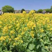 ヒメ日記 2026/04/15 20:07 投稿 みゆう 東京リップ 立川店