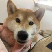 渚/なぎさ 本日体調不良でお休みします🥲‎ Muteki Platinum