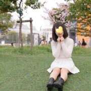 ヒメ日記 2026/04/17 12:04 投稿 純-JUN- 博多最高級濃厚洗体風俗エステ シャルドネ福岡