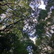 ヒメ日記 2026/08/11 14:11 投稿 みく BAD COMPANY（バッドカンパニー）
