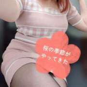 ヒメ日記 2026/04/14 18:12 投稿 いちか One More奥様　蒲田店