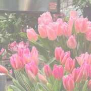 新人・遥香(はるか) はじめまして遥香です🤍初日ご予約完売㊗️ グランドオペラ福岡