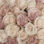 ヒメ日記 2026/04/17 20:26 投稿 新人・遥香(はるか) グランドオペラ福岡