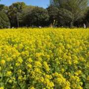 ヒメ日記 2026/04/10 12:06 投稿 まお One More 奥様 所沢店