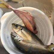 ヒメ日記 2026/05/07 11:05 投稿 まお One More 奥様 所沢店