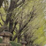 ヒメ日記 2026/04/07 13:03 投稿 あきほ もしも清楚な20、30代の妻とキスイキできたら横浜店