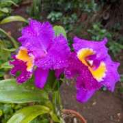 ヒメ日記 2026/04/11 08:43 投稿 あきほ もしも清楚な20、30代の妻とキスイキできたら横浜店