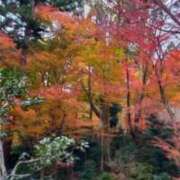 ヒメ日記 2026/10/14 13:29 投稿 きょうか 熟女家 十三店