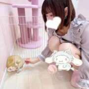 ヒメ日記 2026/04/03 21:32 投稿 ゆん★坂道系ロリカワ現役JD★ Chloe五反田本店　S級素人清楚系デリヘル