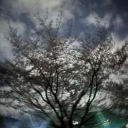 ヒメ日記 2026/04/24 03:36 投稿 カミチチ ドMな奥様 大阪本店