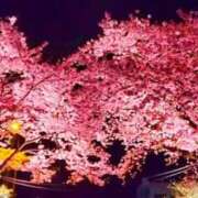 ヒメ日記 2026/04/10 11:09 投稿 まこ ハッピーハウス