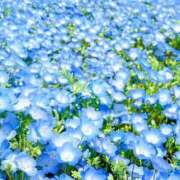 ヒメ日記 2026/04/13 09:58 投稿 まこ ハッピーハウス