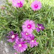 まこ おはようございます🎶 ハッピーハウス