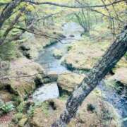 ヒメ日記 2026/04/28 10:03 投稿 まこ ハッピーハウス