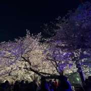 ヒメ日記 2026/04/08 21:07 投稿 桐谷 みう ホットアロマ