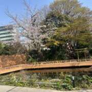 ヒメ日記 2026/05/11 14:59 投稿 あやね 恋の履歴書