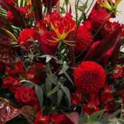 ヒメ日記 2026/04/04 23:01 投稿 優木なつほ MADAM