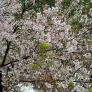 ヒメ日記 2026/04/05 21:16 投稿 優木なつほ MADAM