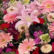 ヒメ日記 2026/04/10 00:46 投稿 優木なつほ MADAM