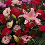 ヒメ日記 2026/04/15 23:46 投稿 優木なつほ MADAM