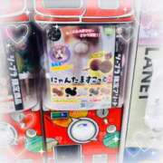 ヒメ日記 2026/05/15 15:47 投稿 なな♡4/04地元体験入店♡ もえたく