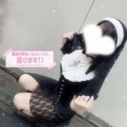 ヒメ日記 2026/04/16 17:04 投稿 かなえ 舐めていいとも！柏店