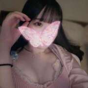 ヒメ日記 2026/04/11 20:45 投稿 夢乃さらさ ブルーバード