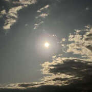 ヒメ日記 2026/04/11 08:25 投稿 なつき 華椿(水戸)