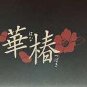 ヒメ日記 2026/06/08 09:00 投稿 みき 華椿(水戸)