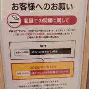 ヒメ日記 2026/05/01 07:32 投稿 さくら 華椿(水戸)