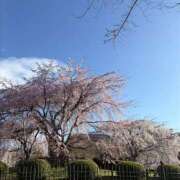 まゆ 新人＠まゆ（スピード難波店） スピード難波店