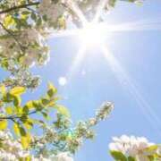 百合香 朝型か？夜型か？ 渋谷人妻城