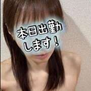 ヒメ日記 2026/05/12 08:30 投稿 百合香 渋谷人妻城