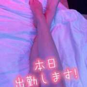 ヒメ日記 2026/05/19 07:46 投稿 百合香 渋谷人妻城