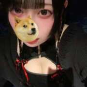 ヒメ日記 2026/04/09 14:18 投稿 ピラニア　肉食魚 女の子市場