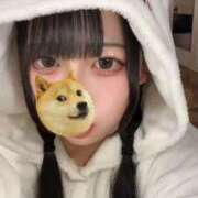 ピラニア　肉食魚 一番かわいいよー☝️😻💖 女の子市場