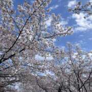 Syuri(しゅり) ※無題 AMATERAS(アマテラス)(福山)