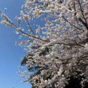 ヒメ日記 2026/04/13 00:03 投稿 緋山さくら 性感回春アロマSPA金沢店