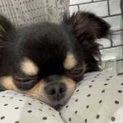 ヒメ日記 2026/04/05 11:23 投稿 純恋【スミレ】 LOVEキタ兎我野店