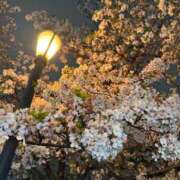 ヒメ日記 2026/04/10 23:33 投稿 純恋【スミレ】 LOVEキタ兎我野店