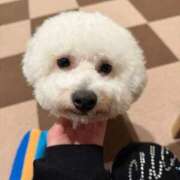 ヒメ日記 2026/04/11 12:46 投稿 純恋【スミレ】 LOVEキタ兎我野店