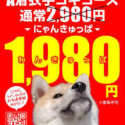 ヒメ日記 2026/04/17 17:59 投稿 すず 2980円（にゃんきゅっぱ）