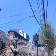 白石 みう こんばんは🌷 プルプルハウス