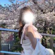 ヒメ日記 2026/04/04 17:29 投稿 南川かえで MIRAI TOKYO 新宿店