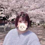 ヒメ日記 2026/04/04 13:33 投稿 みかん Welcome Cafe(ウェルカムカフェ) 八王子本店