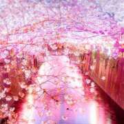 ヒメ日記 2026/04/06 23:48 投稿 れおん モアグループ宇都宮人妻花壇